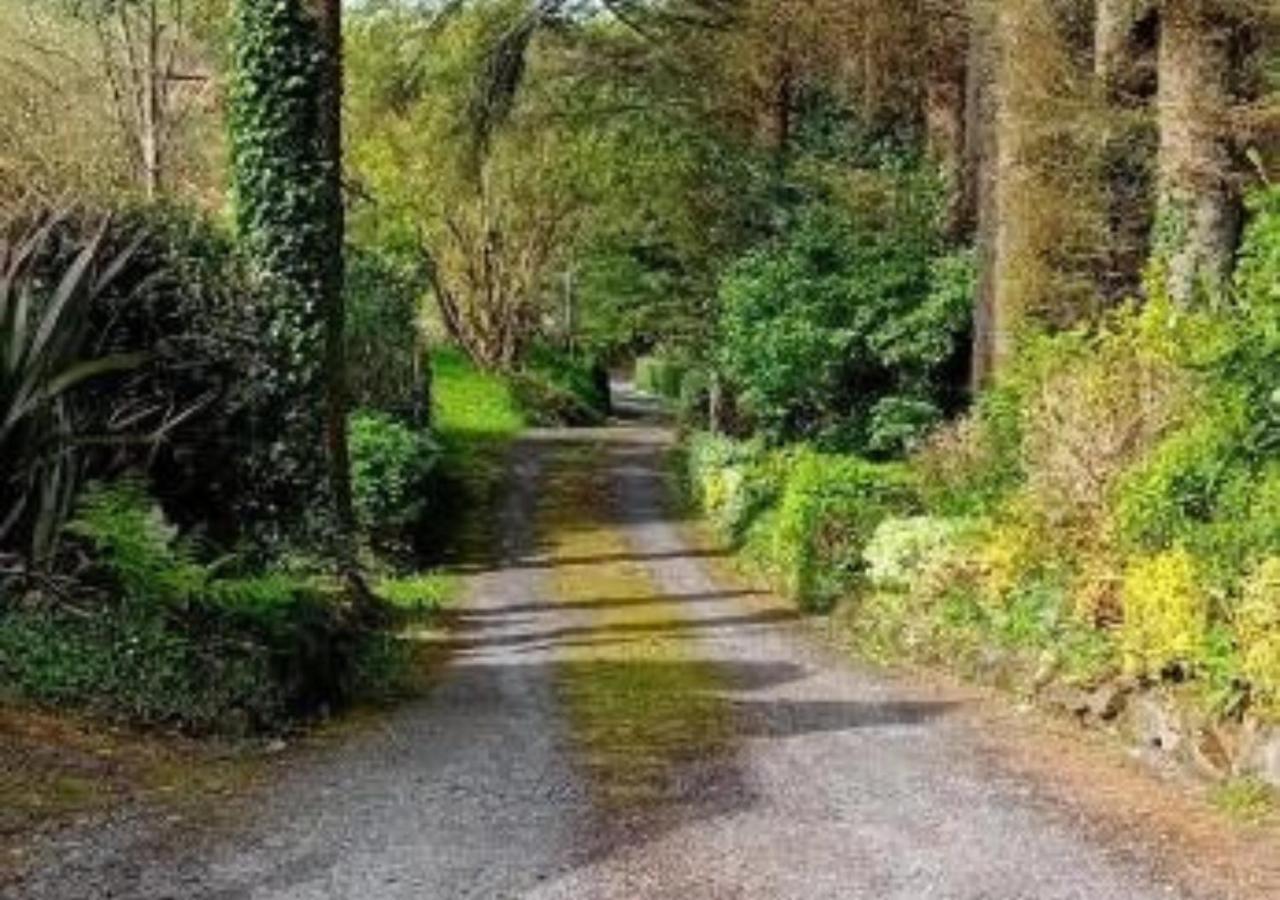 Barnesmore Cottage Zewnętrze zdjęcie